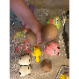Foto de reseña de 4.7 estrellas por E*****a, imagen 1 de 5 para Juguete Pato Squishy Lindo Rebote Lento Antiestrés