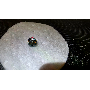 5-star customer review photo by E*****Z, image 6 of 12 for Round Hearts And Arrows Cut Moissanite Loose Stone With GRA