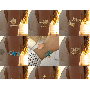 5-star customer review photo by Y*****l, image 1 of 1 for Multilayered Belly Chain Gold Tone Waist Link For Women