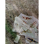5-star customer review photo by N*****a, image 1 of 1 for Fashion Women Leaf Bracelet Watch With Sliding Clasp