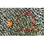 Foto de reseña de 5 estrellas por E*****i, imagen 1 de 5 para Collar de Colgante Virgen María con Flor de Concha Mujeres