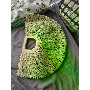 5-star customer review photo by G*****u, image 2 of 2 for Handwoven Straw Half Moon Beach Tote Bag With Zipper