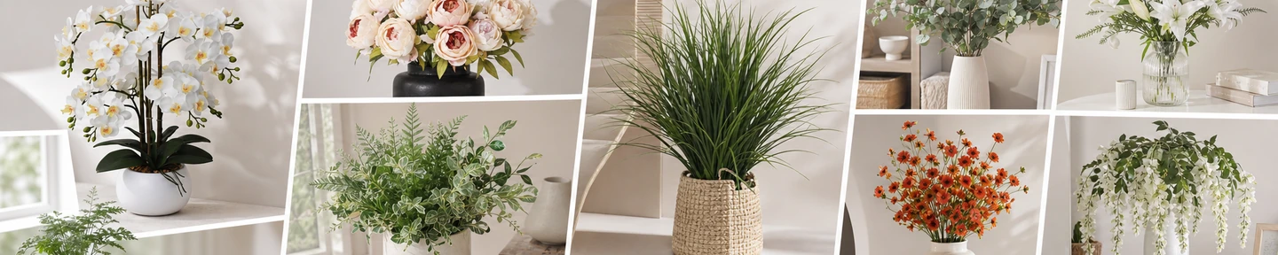 Orchid & Fern Home